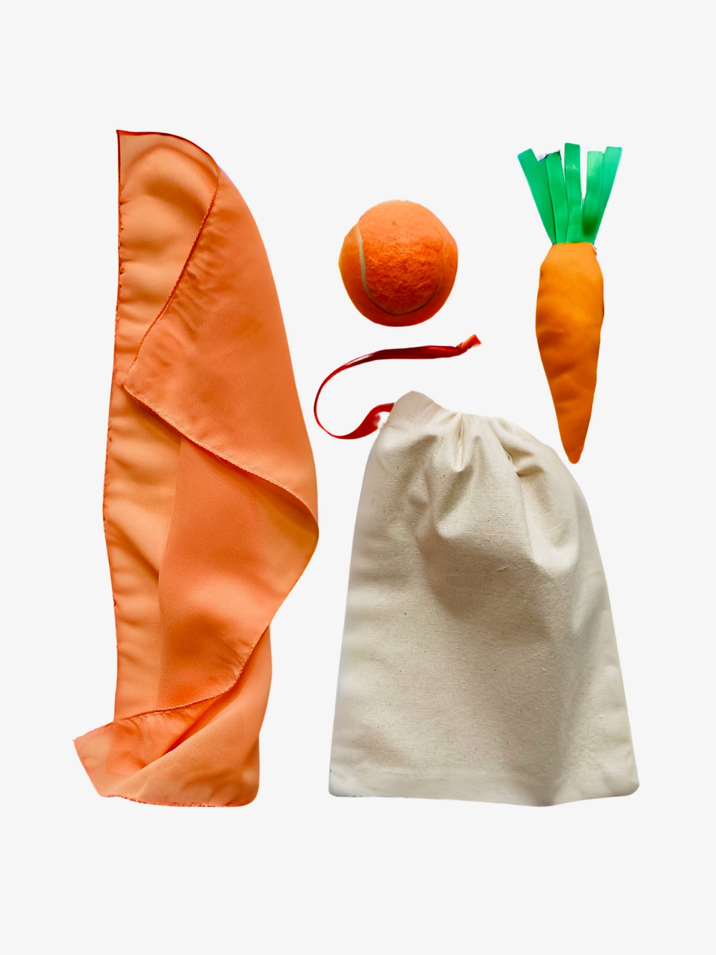Colour bags - busy bags